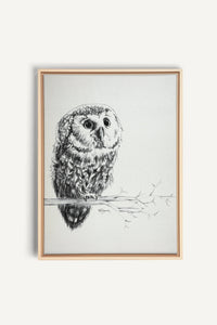 Cute Baby Owl, canvas print