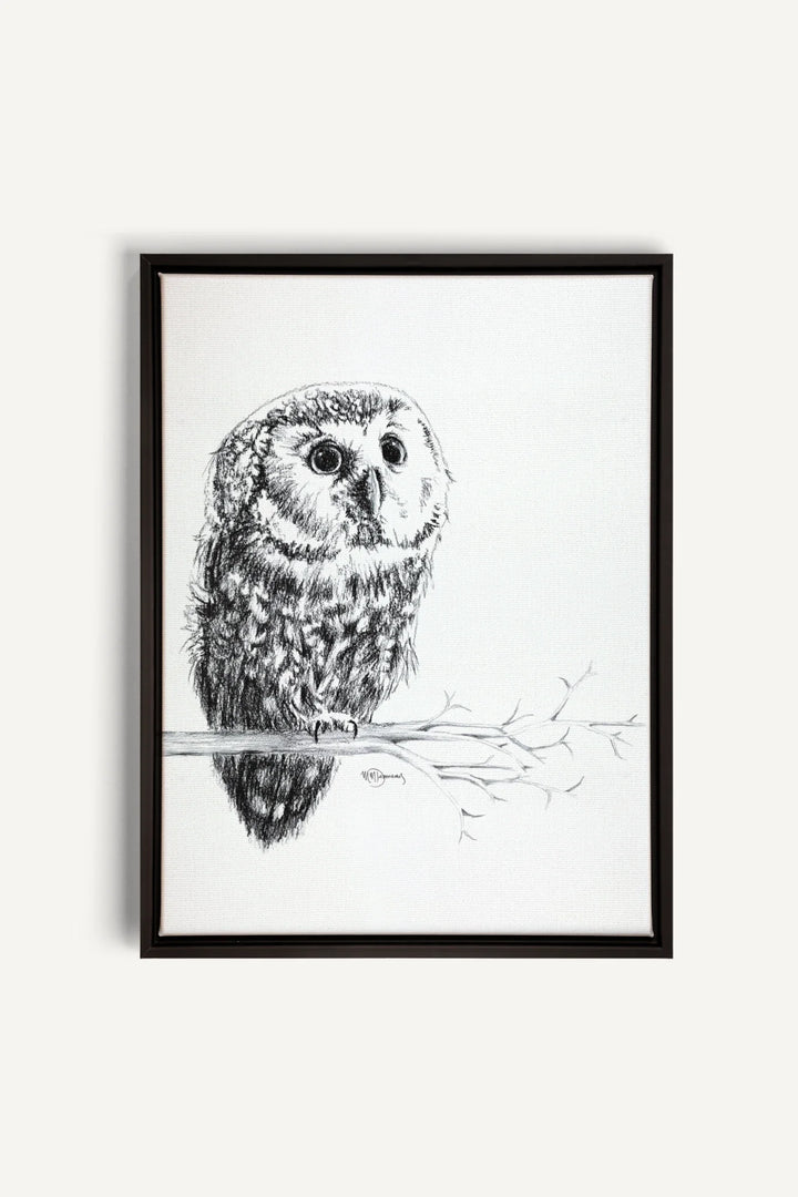 Cute Baby Owl, canvas print
