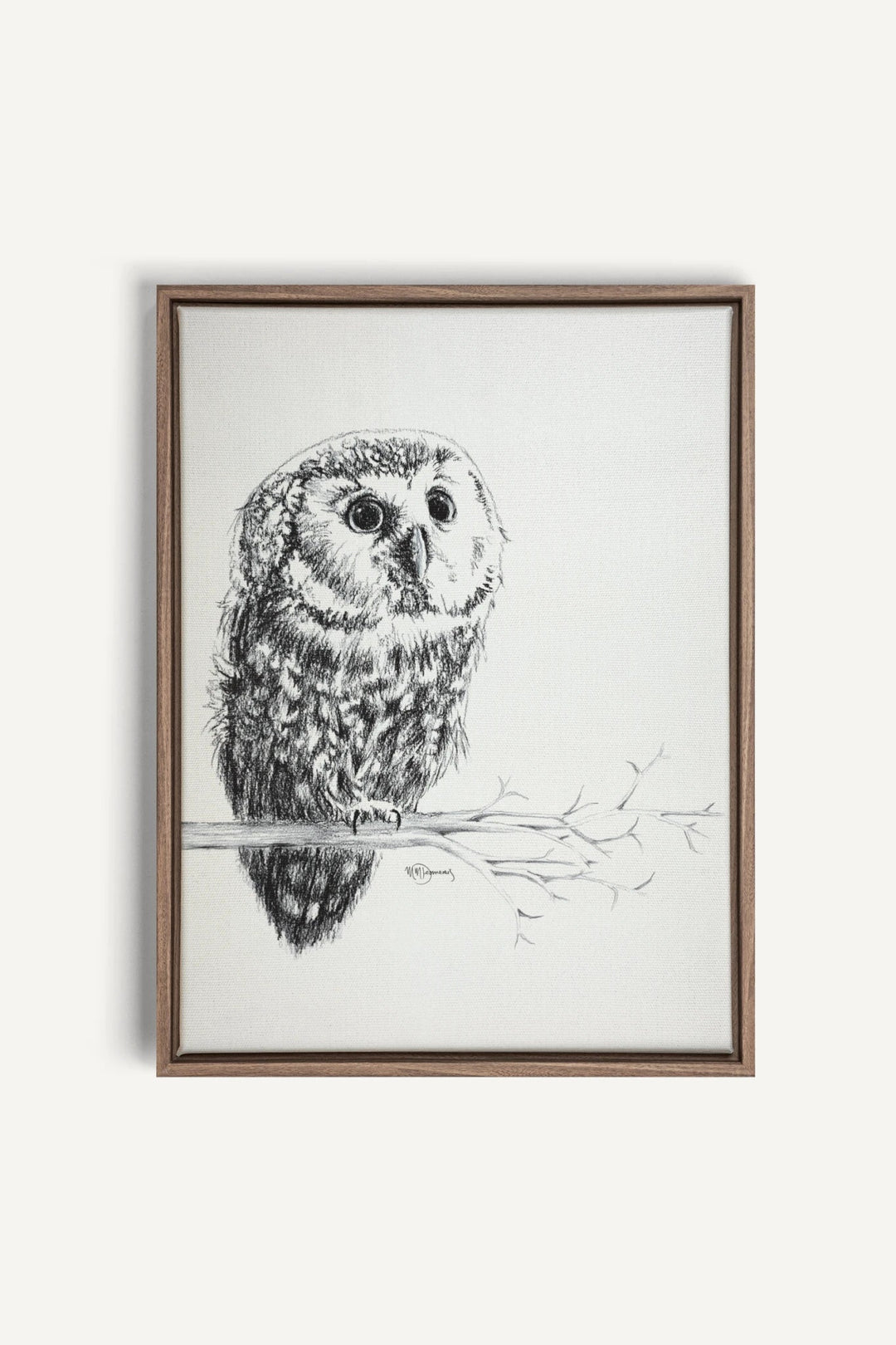 Cute Baby Owl, canvas print