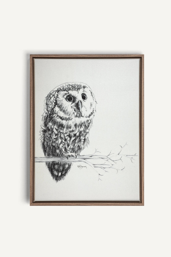 Cute Baby Owl, canvas print