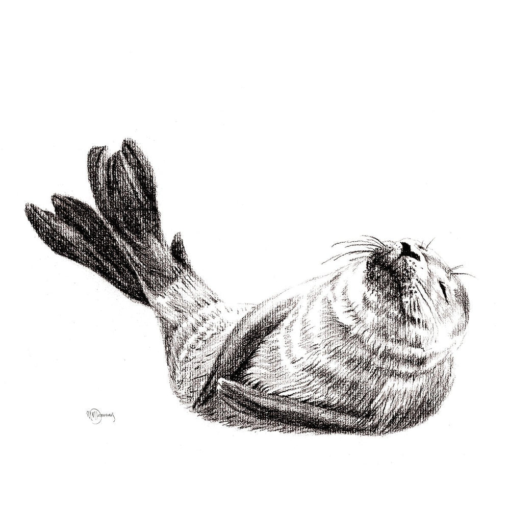 Cute Baby Seal, Black and White Nursery Wildlife Art Print - LE NID atelier