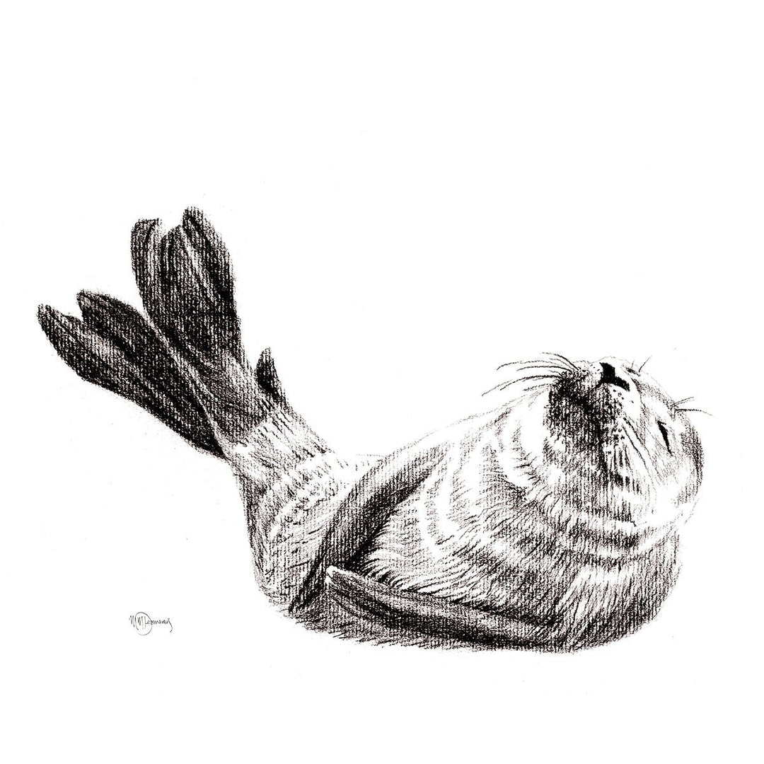Cute Baby Seal, Black and White Nursery Wildlife Art Print - LE NID atelier