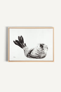 Mignon bébé phoque, impression sur toile