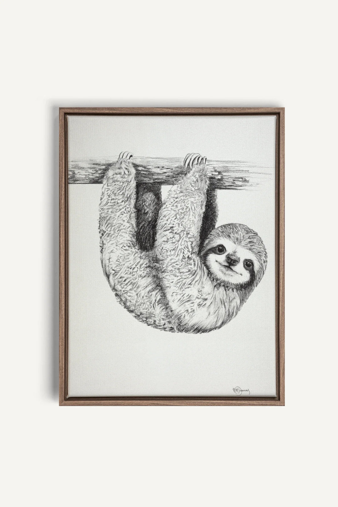 Cute Baby Sloth, canvas print