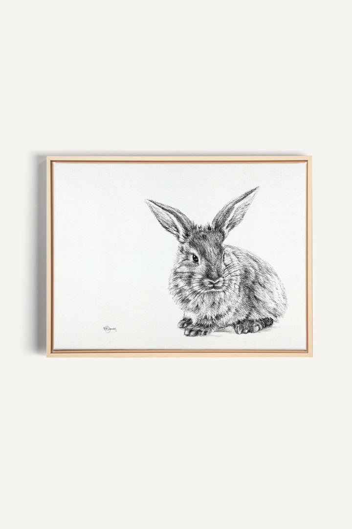 Cute Rabbit, canvas print
