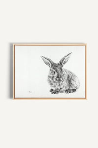 Lapin mignon, impression sur toile