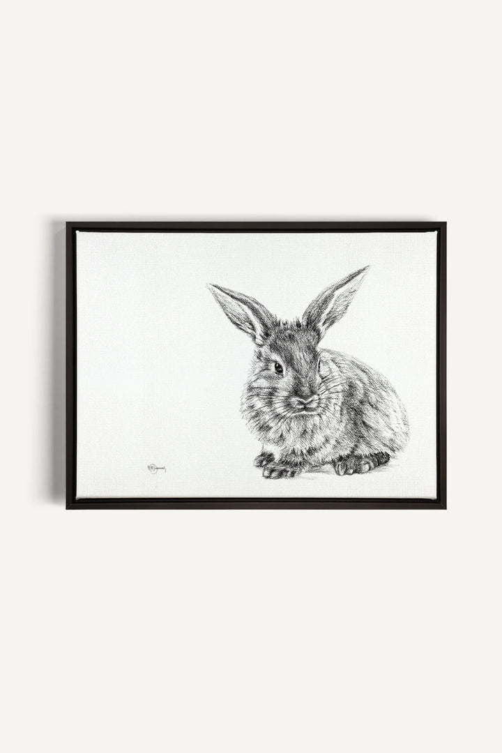 Cute Rabbit, canvas print