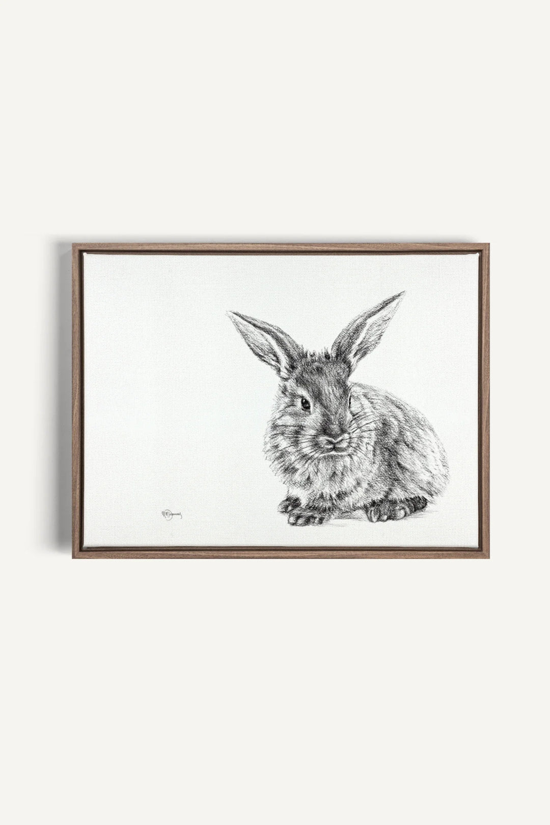 Cute Rabbit, canvas print