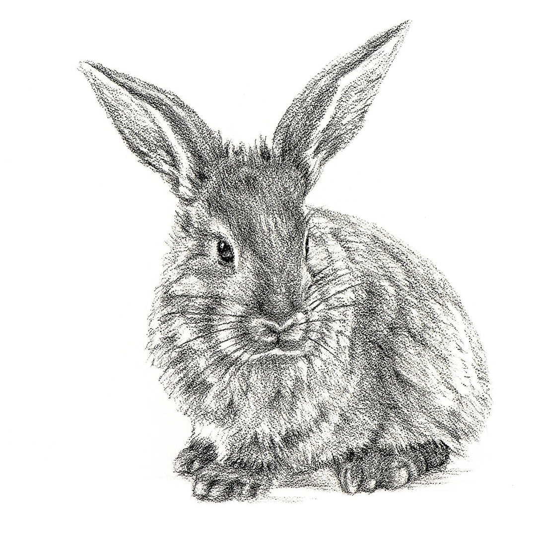 Cute Rabbit Profile - Black and White Nursery Wildlife Art Print - LE NID atelier