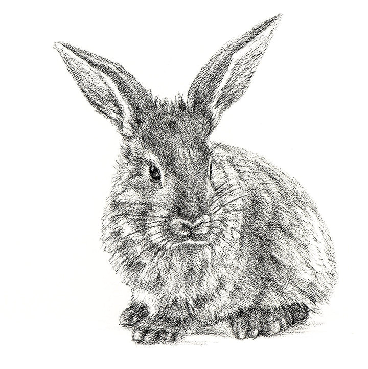 Cute Rabbit Profile - Black and White Nursery Wildlife Art Print - LE NID atelier