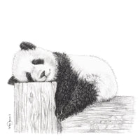 Pause Panda - Affiche - noir et blanc
