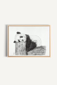 Cute sleeping Panda, canvas print