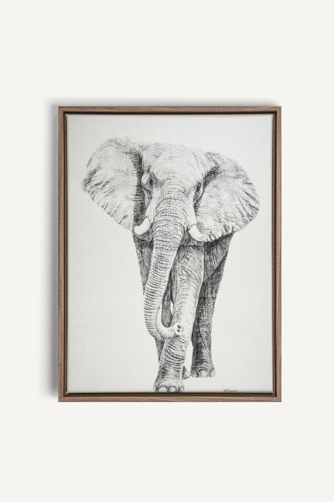 Elephant collaboration with La Fondation du Zoo de Granby, canvas print - LE NID atelier