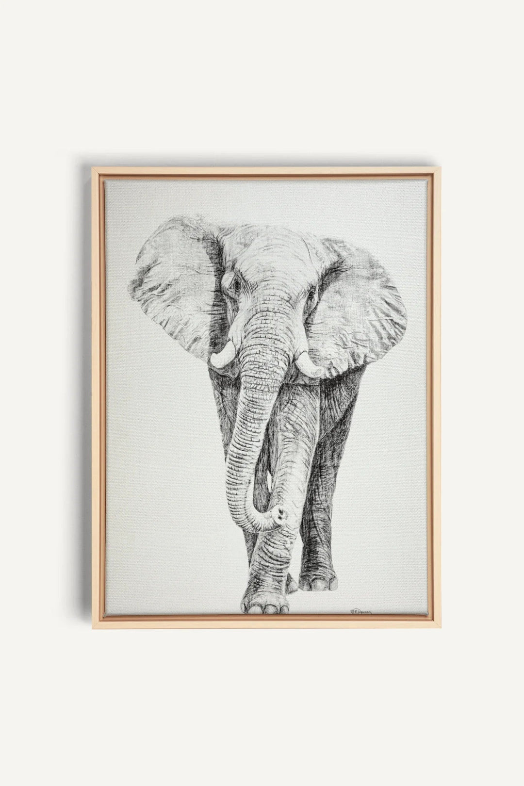 Elephant collaboration with La Fondation du Zoo de Granby, canvas print - LE NID atelier