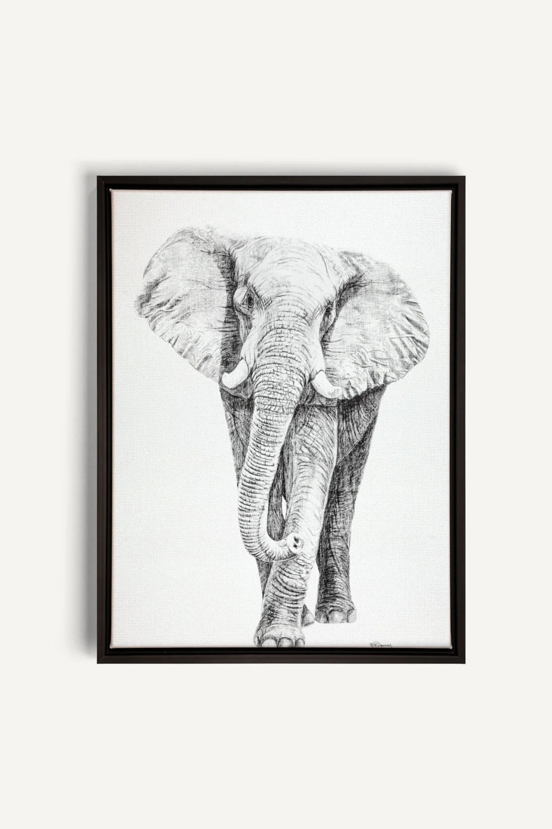 Elephant collaboration with La Fondation du Zoo de Granby, canvas print - LE NID atelier