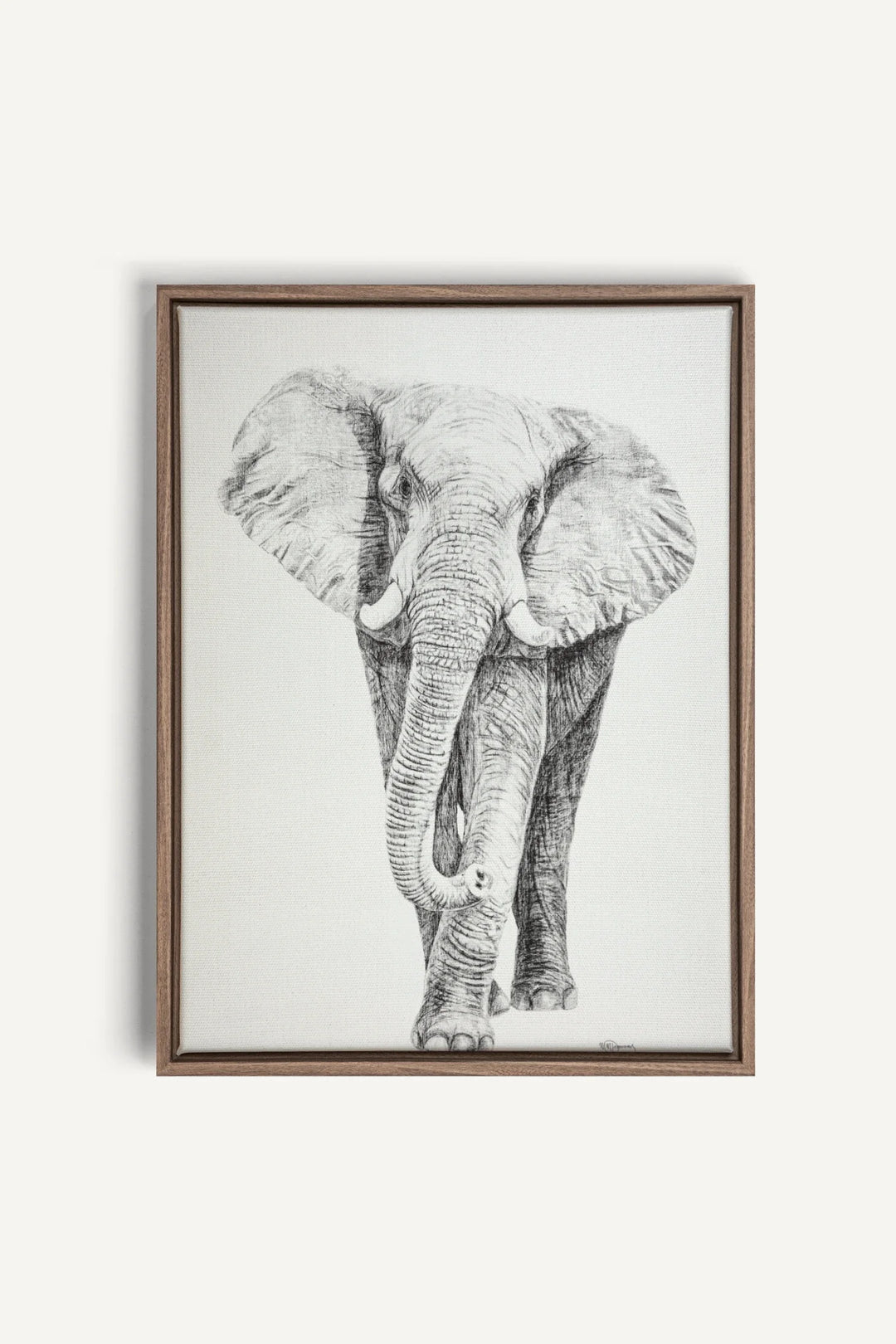 Elephant collaboration with La Fondation du Zoo de Granby, canvas print