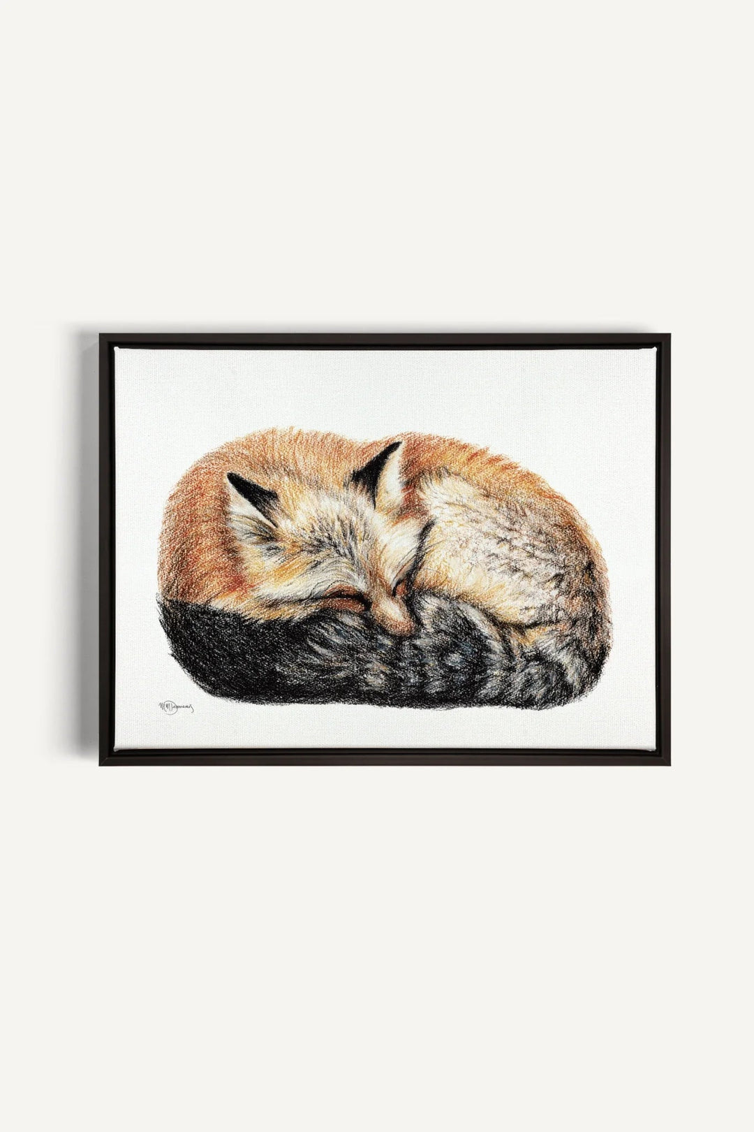 Fox sleeping curled into a ball Colored, canvas print - LE NID atelier