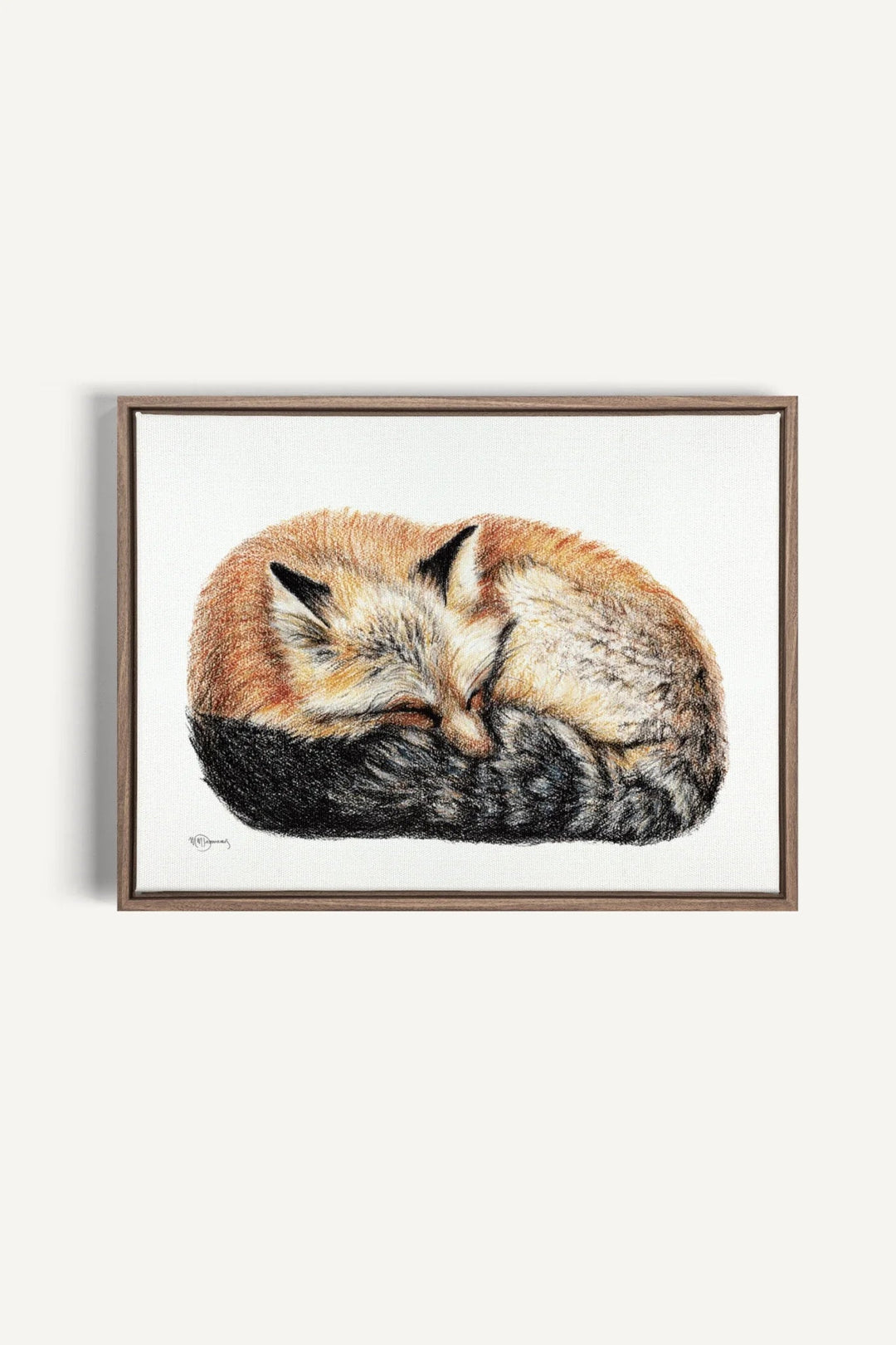 Fox sleeping curled into a ball Colored, canvas print - LE NID atelier