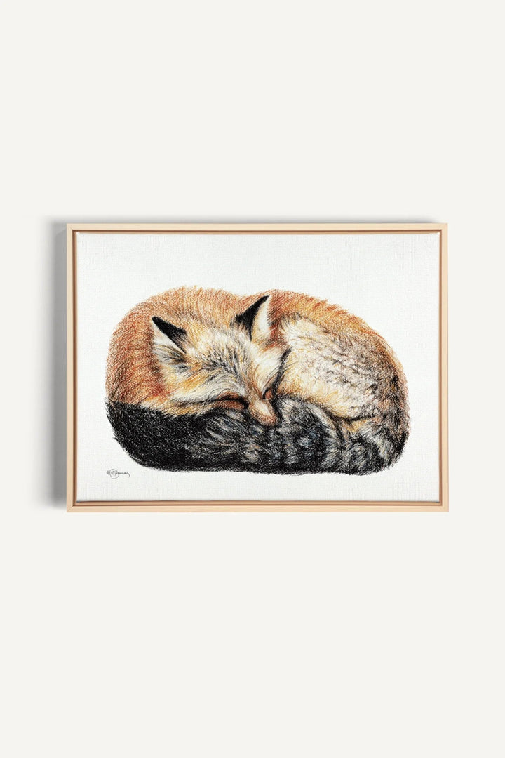 Fox sleeping curled into a ball Colored, canvas print - LE NID atelier