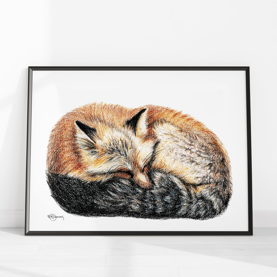 Fox sleeping - curled into a ball - Colored Illustration - LE NID atelier