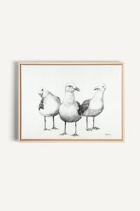 Funny Seagulls , canvas print