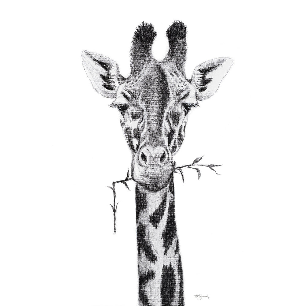 Giraffe Portrait - black and white safari art print - LE NID atelier