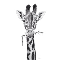 Giraffe Portrait - black and white safari art print