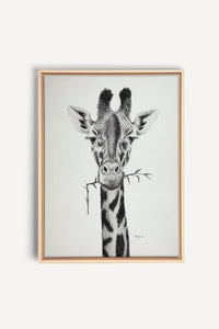 Giraffe Portrait, canvas print