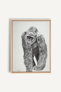 Gorilla collaboration with La Fondation du Zoo de Granby, canvas print