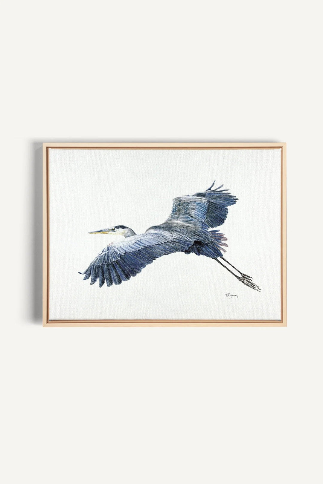 Great Blue Heron, canvas print - LE NID atelier