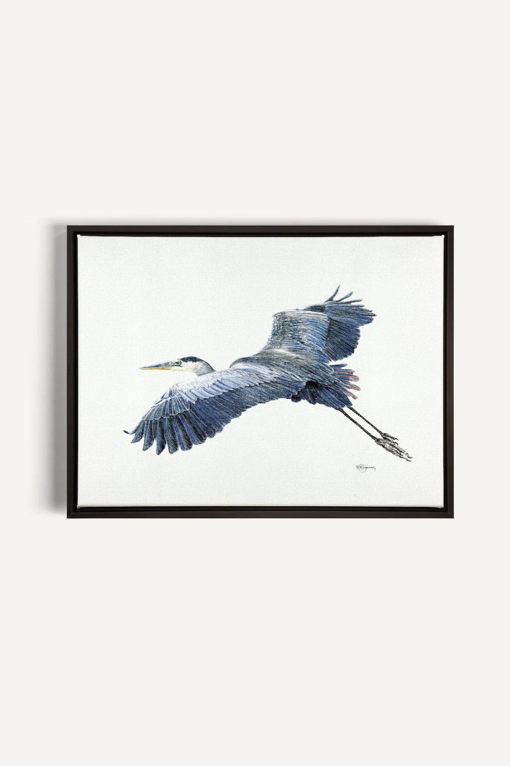 Great Blue Heron, canvas print - LE NID atelier