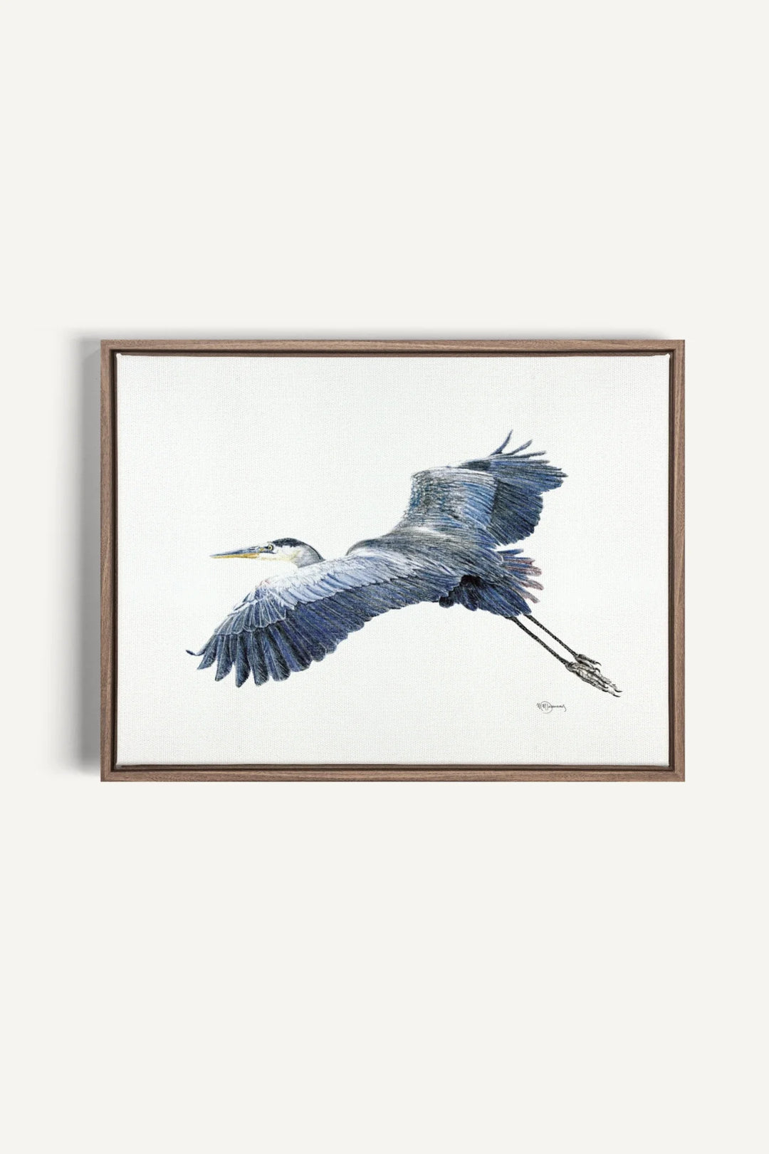 Great Blue Heron, canvas print