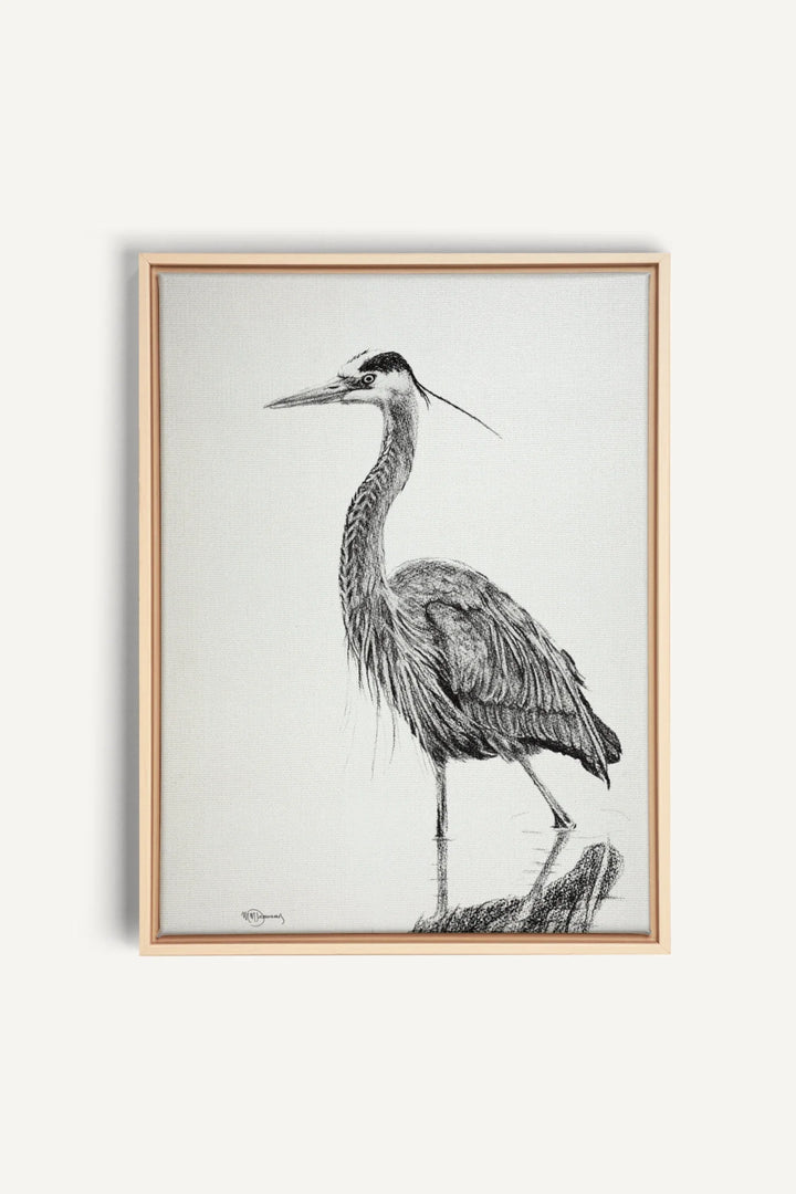 Heron NO 2 Blue Heron in water, canvas print