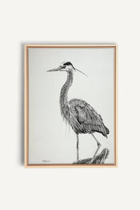 Heron NO 2 Blue Heron in water, canvas print