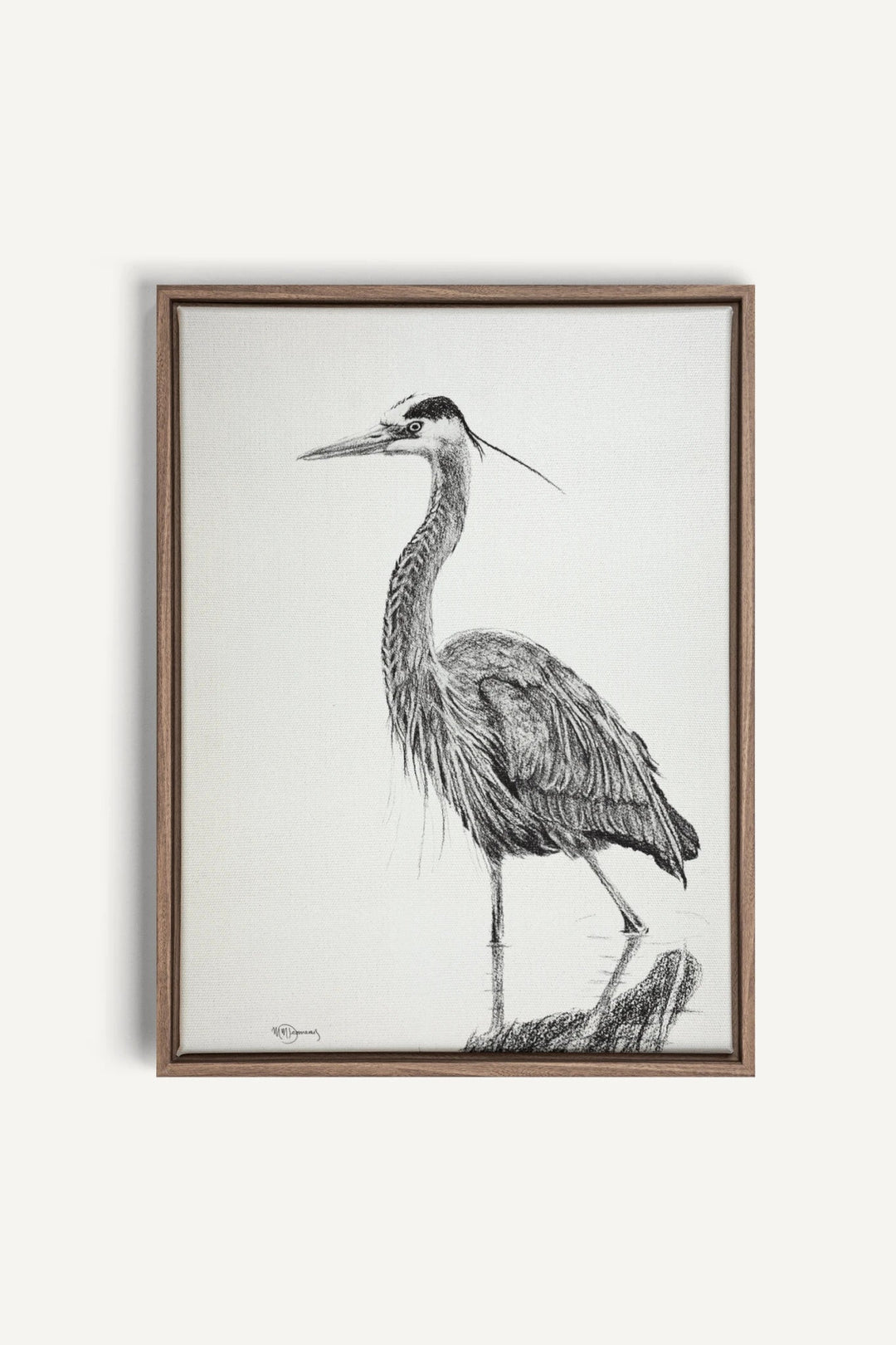 Heron NO 2 Blue Heron in water, canvas print