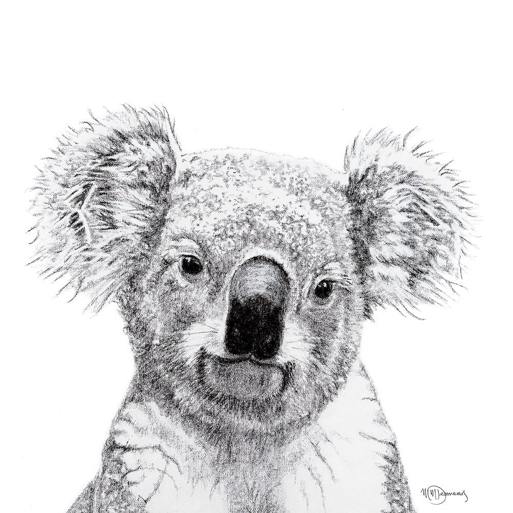 Koala portrait - black and white safari art print - LE NID atelier