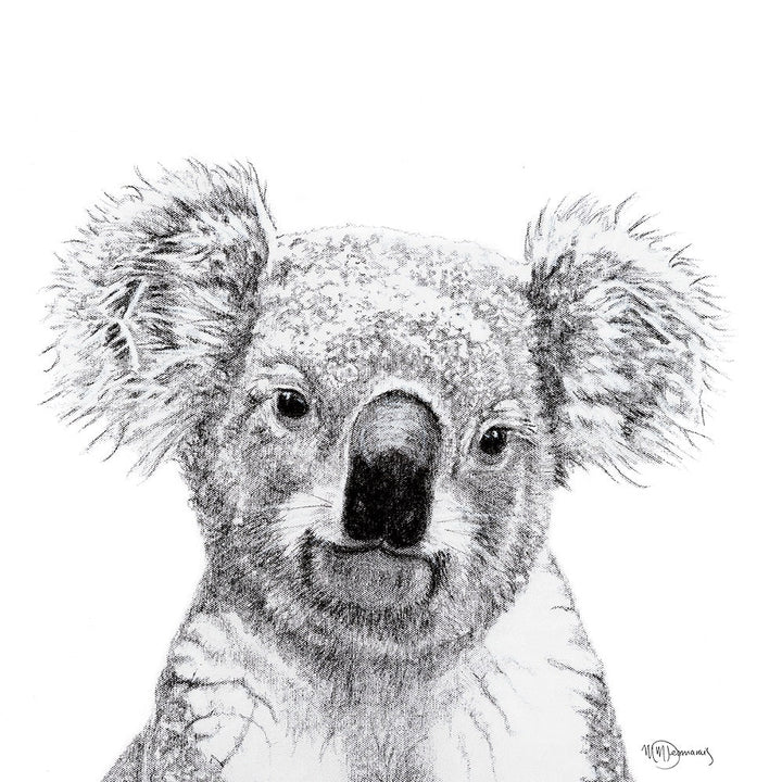 Koala portrait - black and white safari art print - LE NID atelier