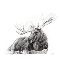 Majestic Moose, canvas print