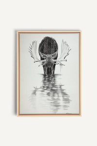 Orignal dans l'eau calme, impression sur toile