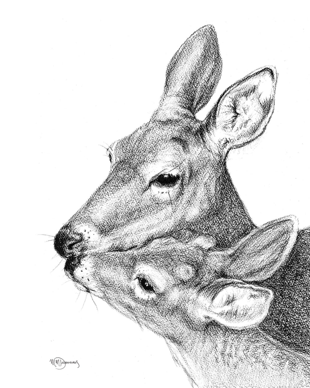 Mother and Baby Deer - Greeting Card - LE NID atelier