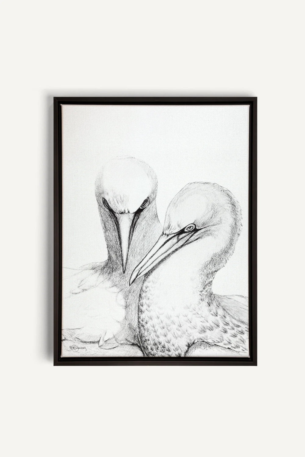 Northern Gannet, canvas print - LE NID atelier