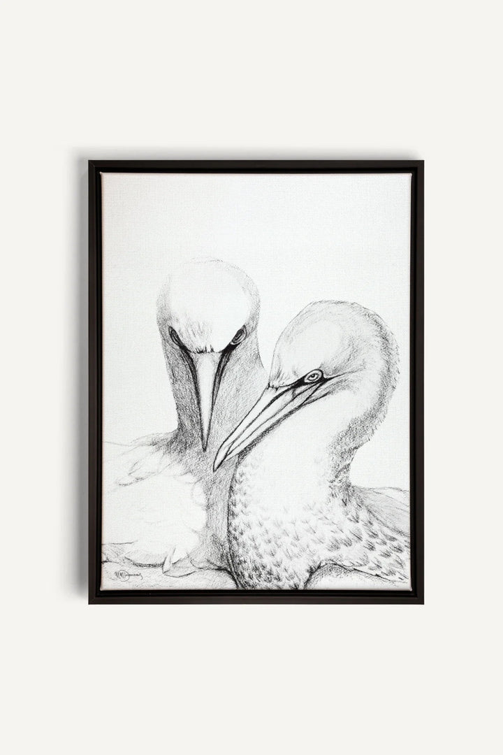 Northern Gannet, canvas print - LE NID atelier