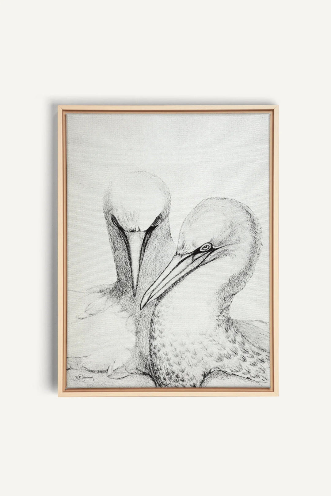 Northern Gannet, canvas print - LE NID atelier