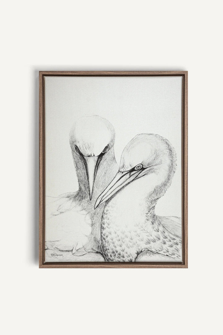 Northern Gannet, canvas print - LE NID atelier