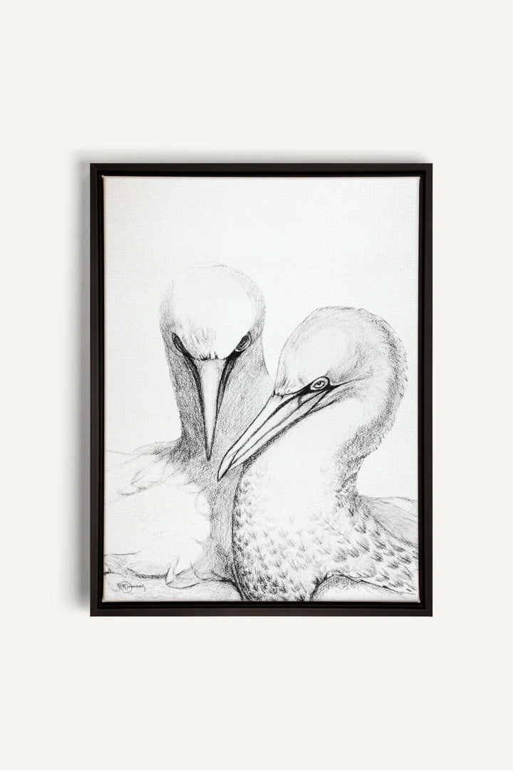 Northern Gannet, canvas print