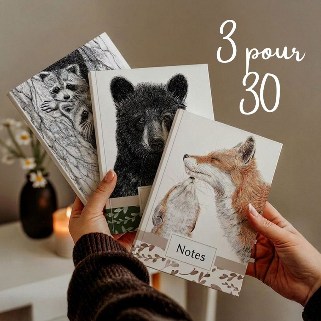 Notebook Trio - LE NID atelier