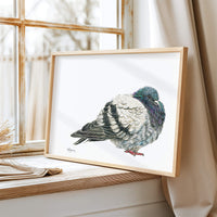 Pigeon - Colored art print