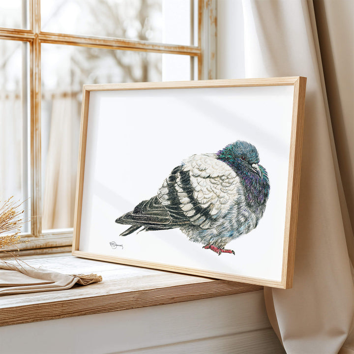 Pigeon Illustration - LE NID atelier