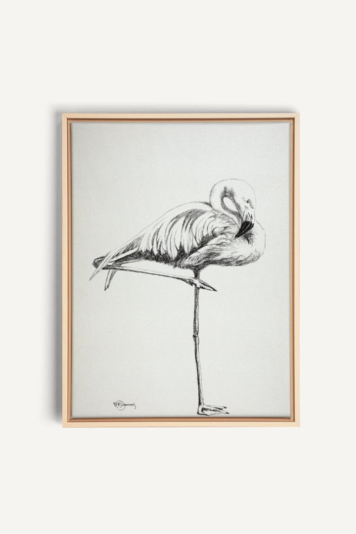 Pink Flamingo, canvas print