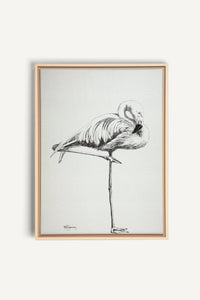 Pink Flamingo, canvas print